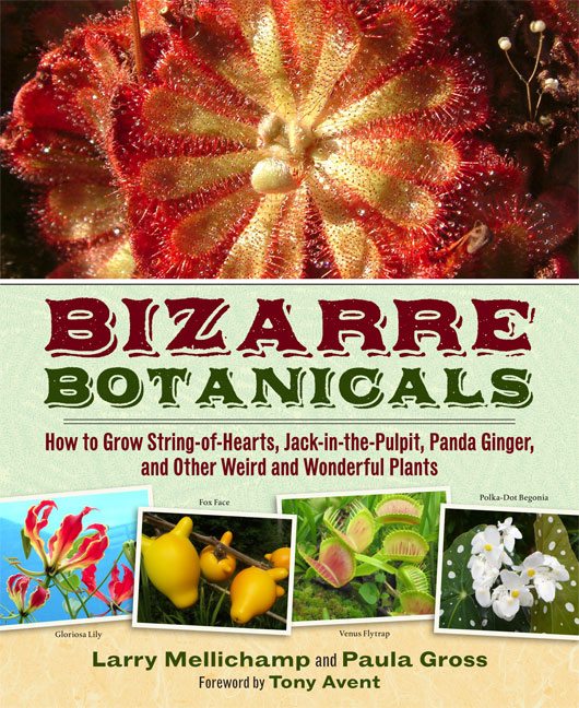 Bizzare Botanicals