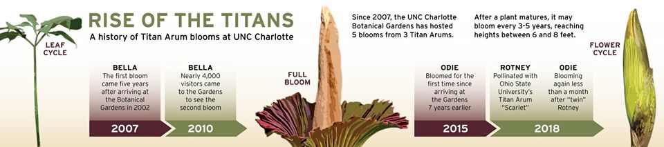 Botanical Gardens Titan Arum